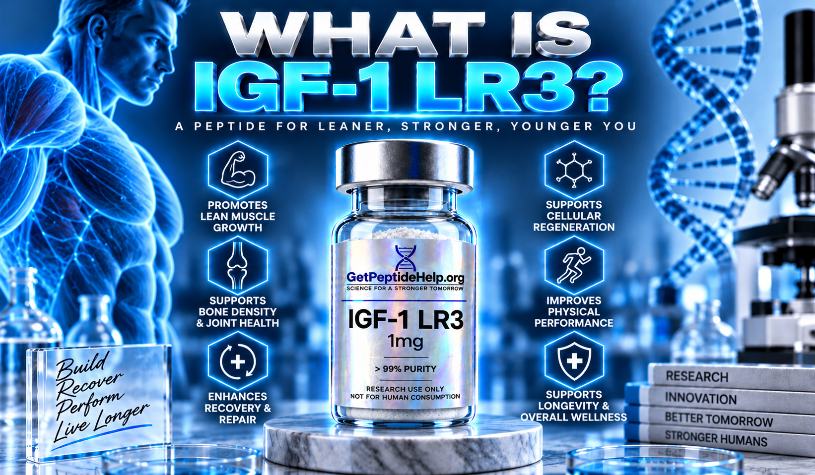 What does IGF1 do?